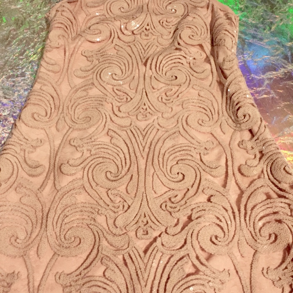 Vince Camuto Blush Lace Dress - Picture 4 of 13